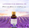 Crazylife Lavender Scar-Removal Essential Oil - 30ml