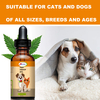 Pet Care Essence 30ml for Dogs and Cats, Hemp Seed Oil Pet Food Additive To Boost Energy, Natural Formula, Easy To Blend