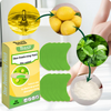 Long-Lasting Shoe Deodorizer Strips - Sweat-Absorbing Odor Neutralizer for Men & Women