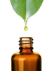OEM bulk kilogram body of men's penis massage essential oil XXL delay longtime 